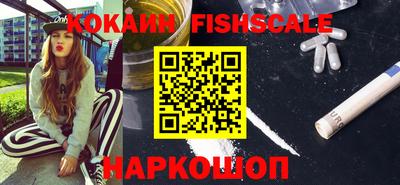 гидра Камышлов