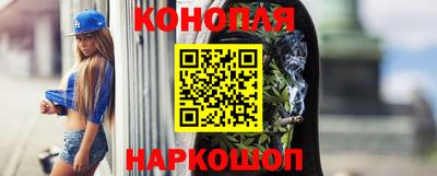 гидра Камышлов